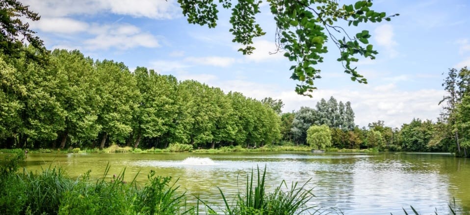 Maxaa sababay fariisadka magaalada